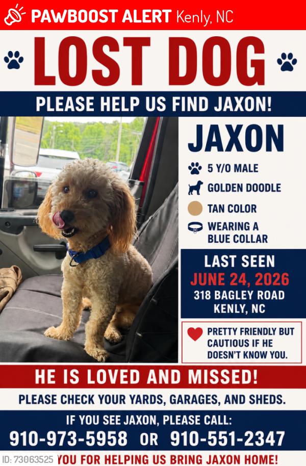 Lost Male Dog last seen Near bagley rd, Kenly, NC 27542