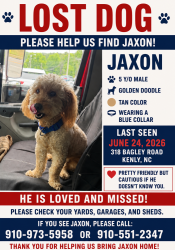 Lost Male Dog last seen Near bagley rd, Kenly, NC 27542