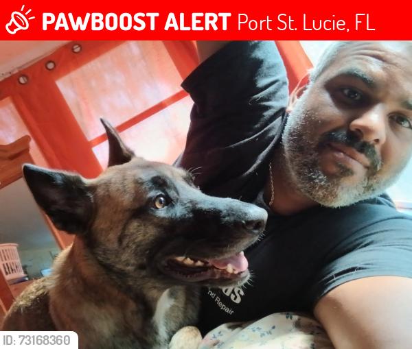Lost Male Dog last seen Dollar general by us 1 and business park drivr, Port St. Lucie, FL 34952