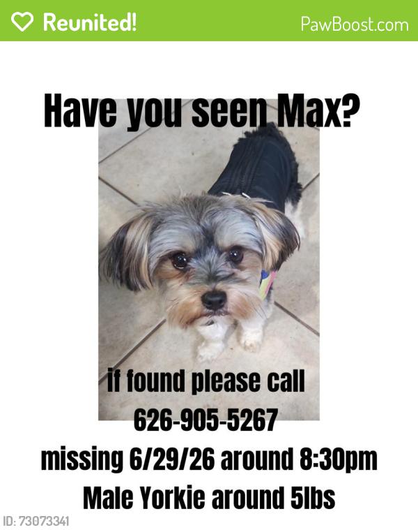 Reunited Male Dog last seen Paramount Ave and 1st St, Azusa, CA 91702
