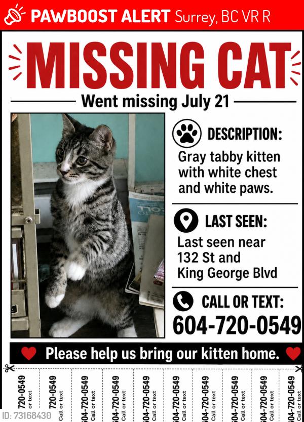 Lost Male Cat last seen Near st and king George blvd, Surrey, BC V3R 4R3