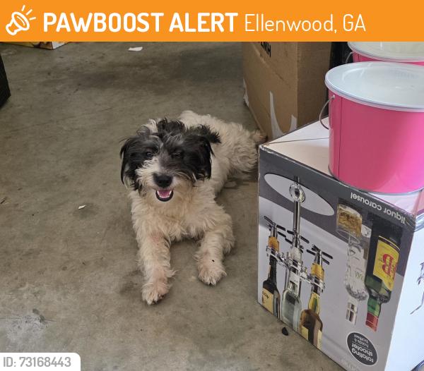 Found/Stray Male Dog last seen Rex Rd, Ellenwood, GA 30294