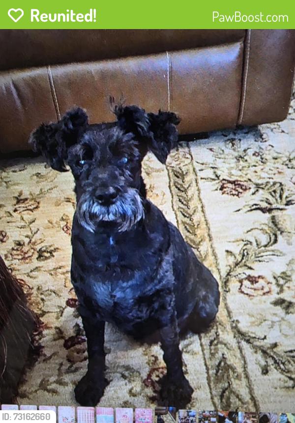 Reunited Male Dog last seen Castlemen creek, Hewitt, TX 76643