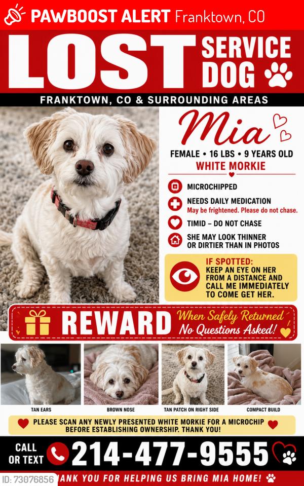 Lost Female Dog last seen 2.5 miles south of Franktown red light on west side of the highway, Franktown, CO 80116