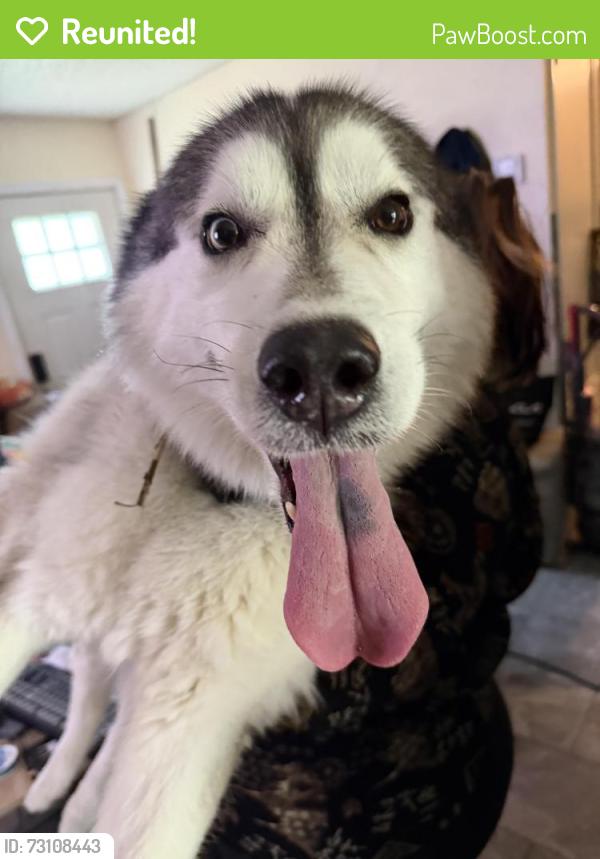 Reunited Male Dog last seen Winodee, Pensacola, FL 32514