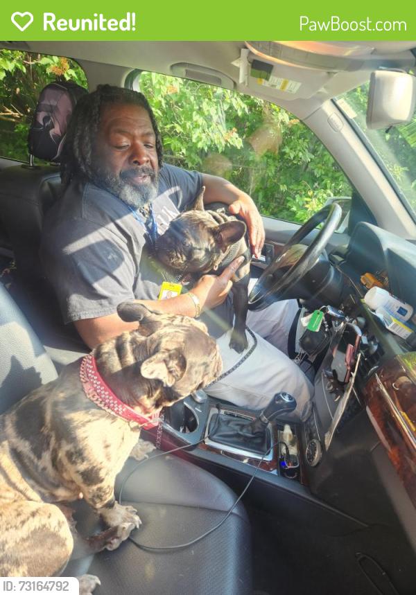 Reunited Male Dog last seen Selby and fisk, Saint Paul, MN 55104