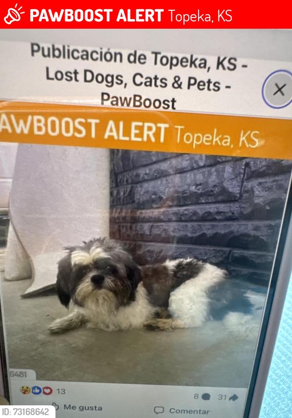 Lost Male Dog last seen Near se freemint st, Topeka, KS 66605