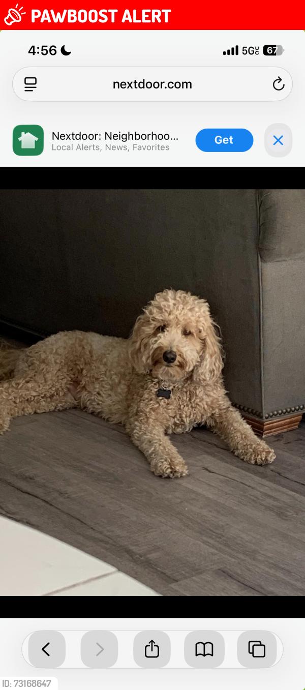 Lost Female Dog last seen Melinda / Rancho Trabuco, Rancho Santa Margarita, CA 92688