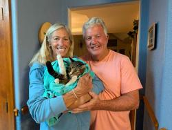 Reunited Male Cat last seen Crabapple Street and Desert Willow. Brandywine South subdivision, Broomfield, CO 80020
