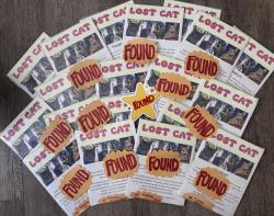 Found/Stray Male Cat last seen Hilton Way/Kenneth Ave, Fair Oaks, CA 95628