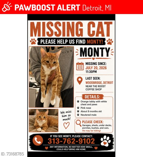 Lost Male Cat last seen Canfield and commonwealth, Detroit, MI 48208