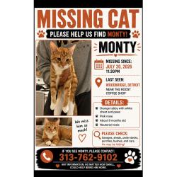 Lost Male Cat last seen Canfield and commonwealth, Detroit, MI 48208