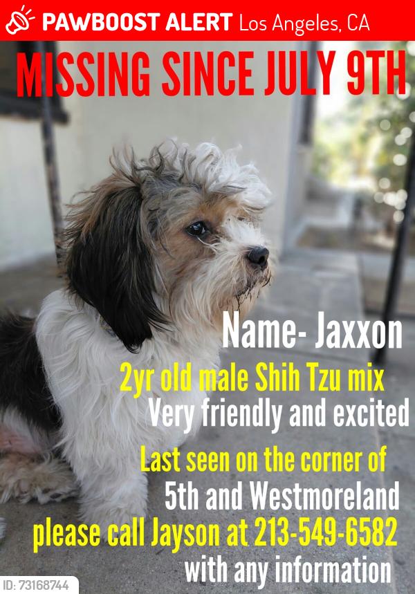 Lost Male Dog last seen 5th St and Westmoreland, Los Angeles, CA 90020