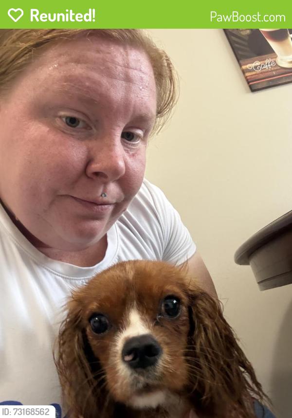 Reunited Male Dog last seen Pawnee and meridian, Wichita, KS 67213