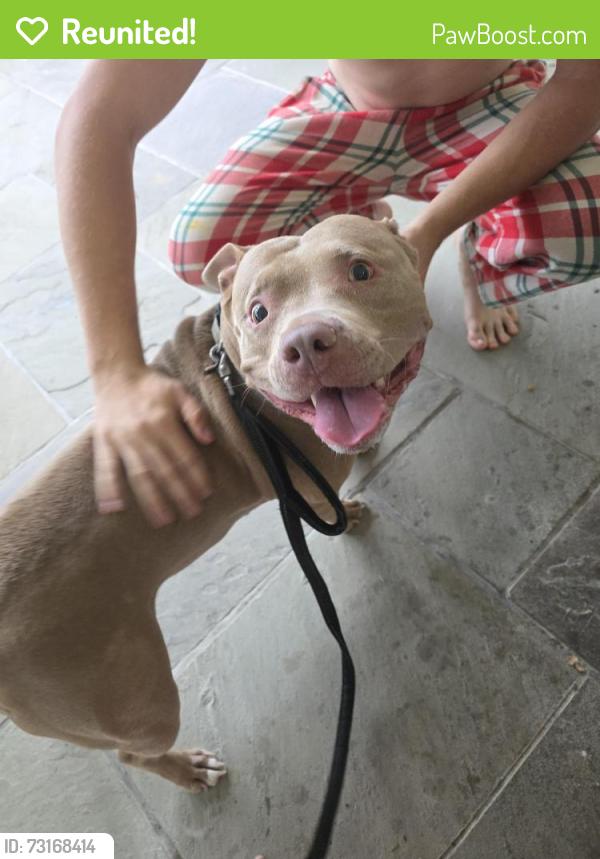 Reunited Female Dog last seen Hickory Ridge Rd, Factoryville- Between Riverside Dr, Factoryville and W Main St, Dalton, Factoryville, PA 18419