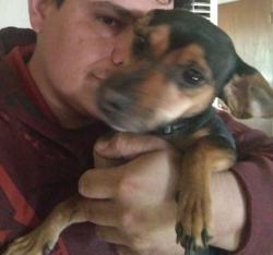 Lost Male Dog last seen Cardenas dr ne and manual rd ne, Albuquerque, NM 87110