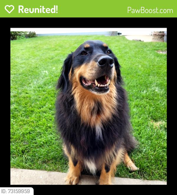 Reunited Male Dog last seen 68th St., Kenosha, WI 53142