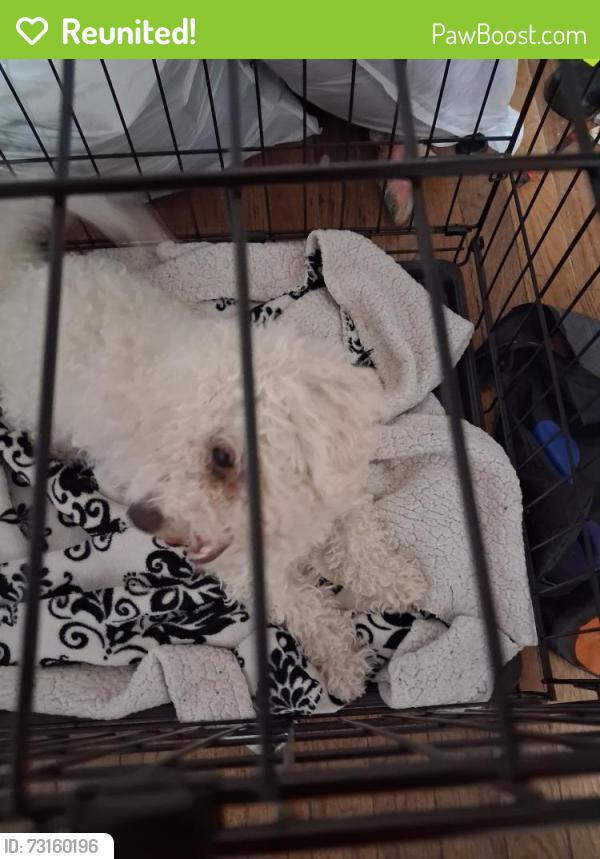 Reunited Male Dog last seen 17th and Sheridan Blvd, Lakewood, CO 80214