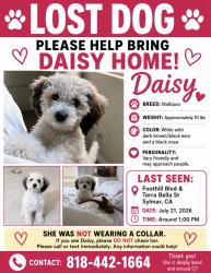 Lost Female Dog last seen Foothill Blvd and Terra Bella St, Los Angeles, CA 91342