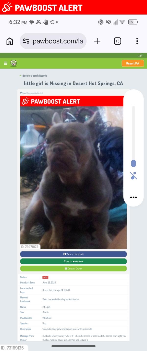 Lost Female Dog last seen Palm hacienda, Hacienda Heights, CA 91745
