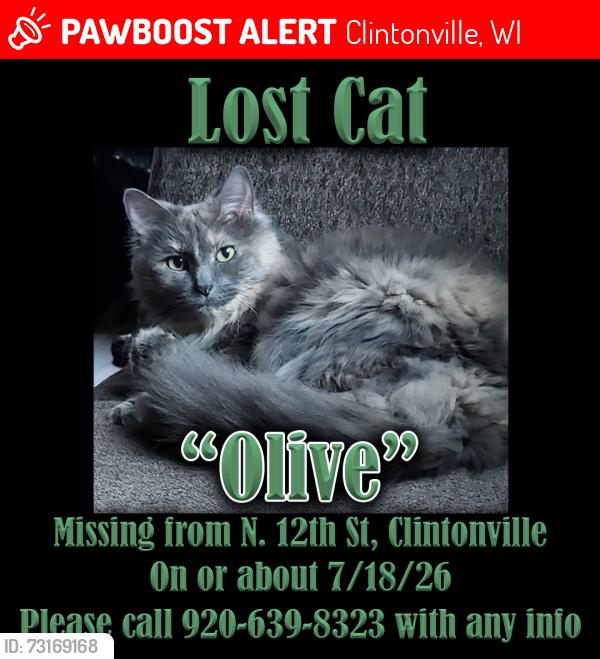Lost Female Cat last seen N 12th Street and Elm St., Clintonville, WI 54929