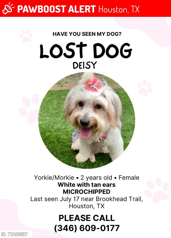 Lost Female Dog last seen Near, Houston, TX 77066