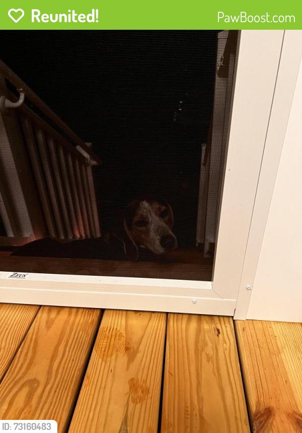 Reunited Unknown Dog last seen Patrick Henry’s hse, Beaverdam, VA 23015