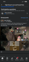 Lost Female Cat last seen Diamond Rd, Victorville, CA 92394