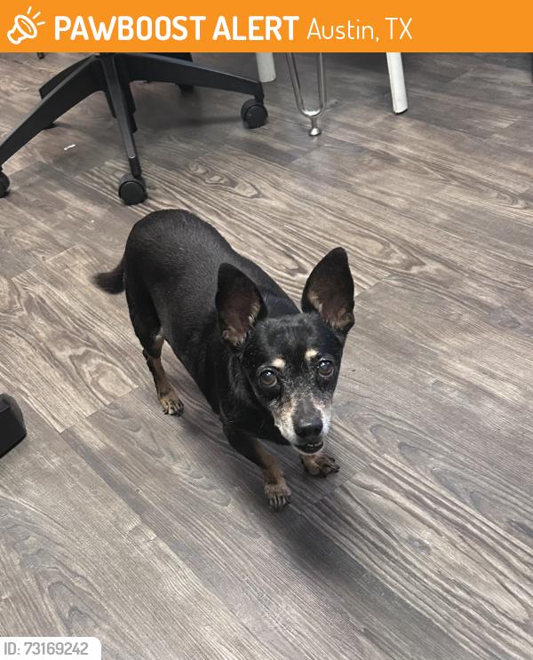 Found/Stray Male Dog last seen Parmer, Austin, TX 78754