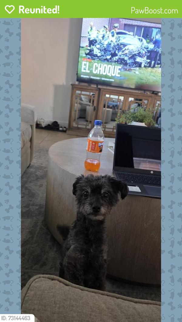 Reunited Female Dog last seen California & Santa Rita Ave, Dos Palos, CA 93620