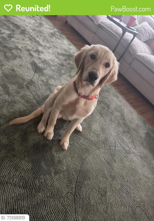 Reunited Female Dog last seen Near Corpus Christi St, Houston, TX 77015, USA, Houston, TX 77015