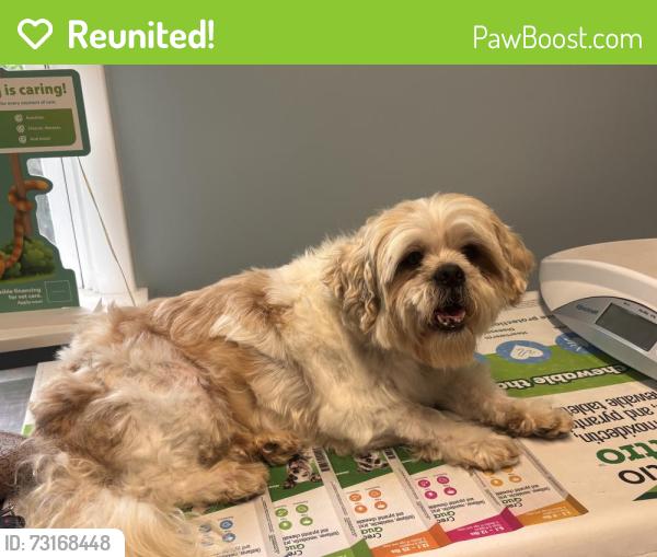 Reunited Male Dog last seen W Ellerslie Ave, Colonial Heights, VA 23834