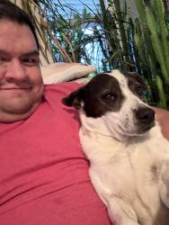 Lost Male Dog last seen Near S Gutensohn Rd unit A-B, Springdale, AR 72762, Springdale, AR 72762