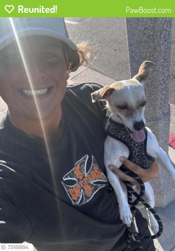 Reunited Male Dog last seen Main St near Seacliff Panera, Huntington Beach, CA 92648