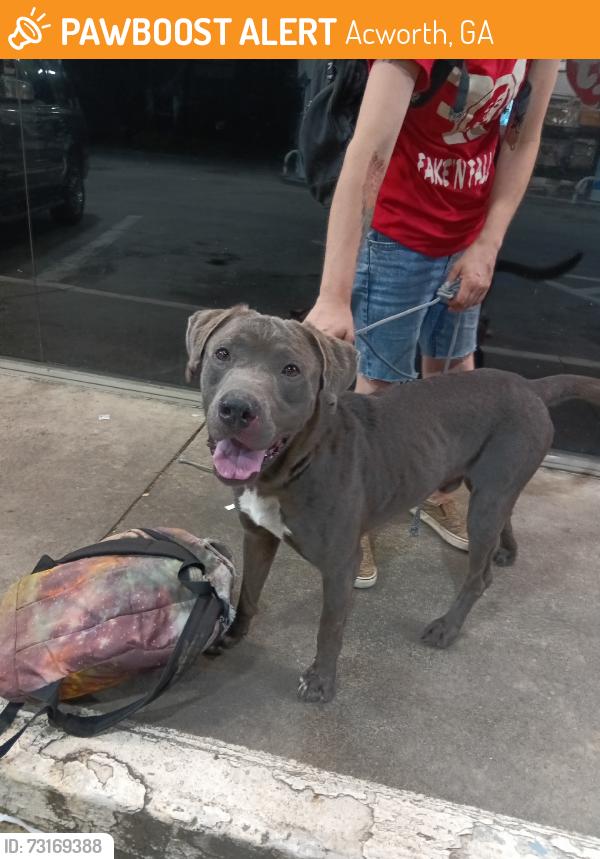 Found/Stray Male Dog last seen Behind cheveron, Acworth, GA 30102