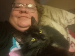 Lost Male Cat last seen W.111TH ST, Cleveland, OH 44102