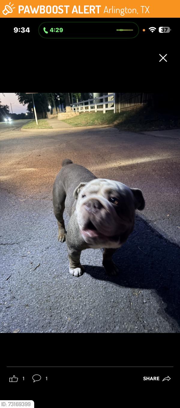 Found/Stray Male Dog last seen Veteran Park, Arlington, TX 76016