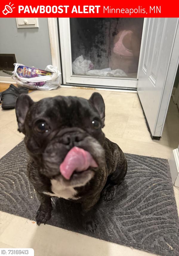 Lost Female Dog last seen Dowling and Penn, Minneapolis, MN 55412