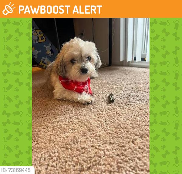 Found/Stray Female Dog last seen Grizzly flt Rd., Somerset, CA, El Dorado County, CA 95684