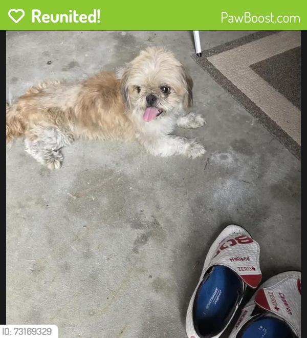 Reunited Unknown Dog last seen Saddle drive Newport News va, Newport News, VA 23602
