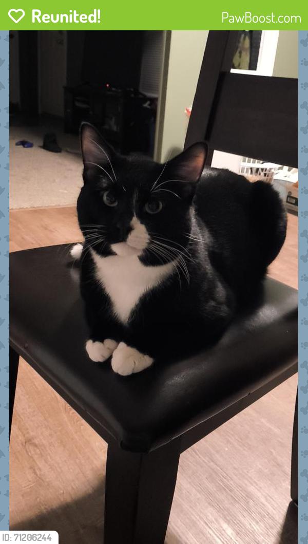 Reunited Male Cat last seen Holbrook, Sioux Falls, SD 57107