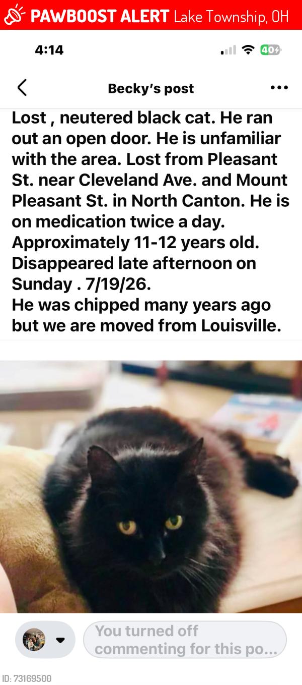 Lost Male Cat last seen Daisywood, Cleveland Ave, Mount Pleasant, Lake Township, OH 44720