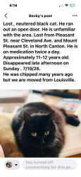 Lost Male Cat last seen Daisywood, Cleveland Ave, Mount Pleasant, Lake Township, OH 44720