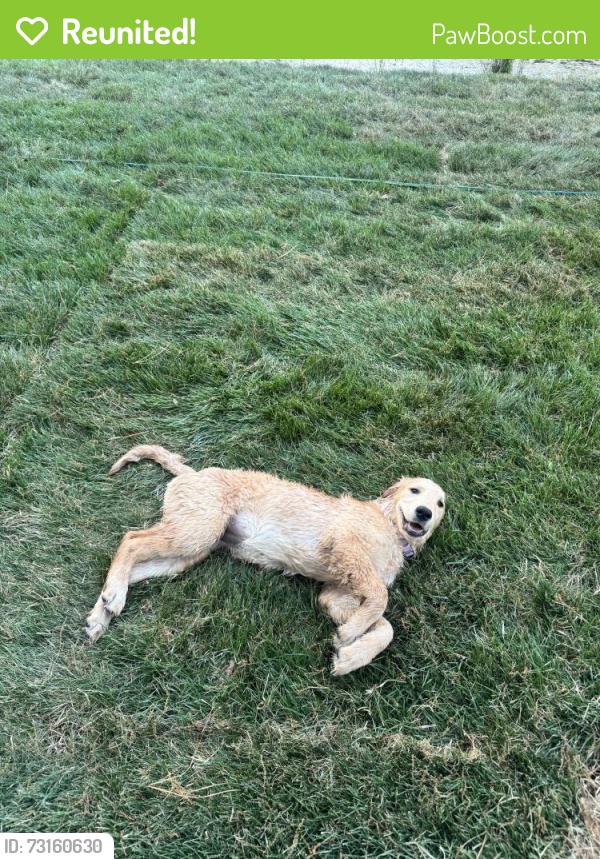 Reunited Female Dog last seen River Rd., South Chesterfield, VA 23803
