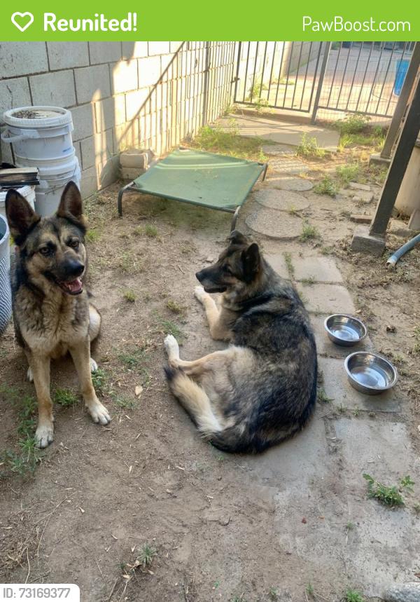 Reunited Unknown Dog last seen Western/Western Hills, Riverside, CA 92505