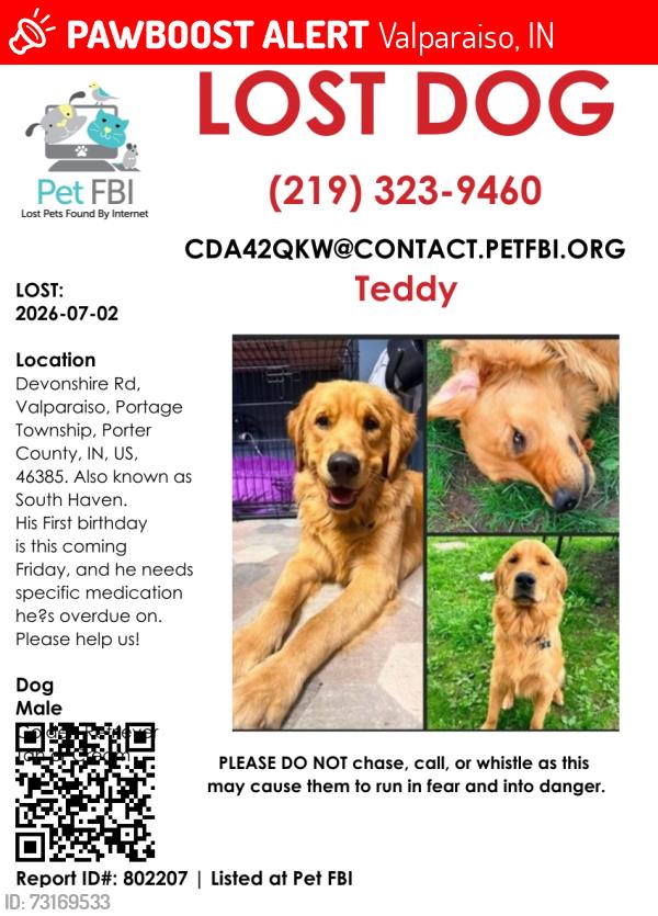 Lost Male Dog last seen South Haven, Valparaiso, IN 46385