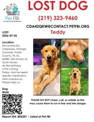 Lost Male Dog last seen South Haven, Valparaiso, IN 46385