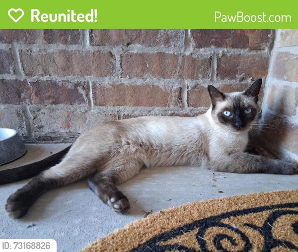 Reunited Unknown Cat last seen Northwood Village, Piedmont, OK 73078