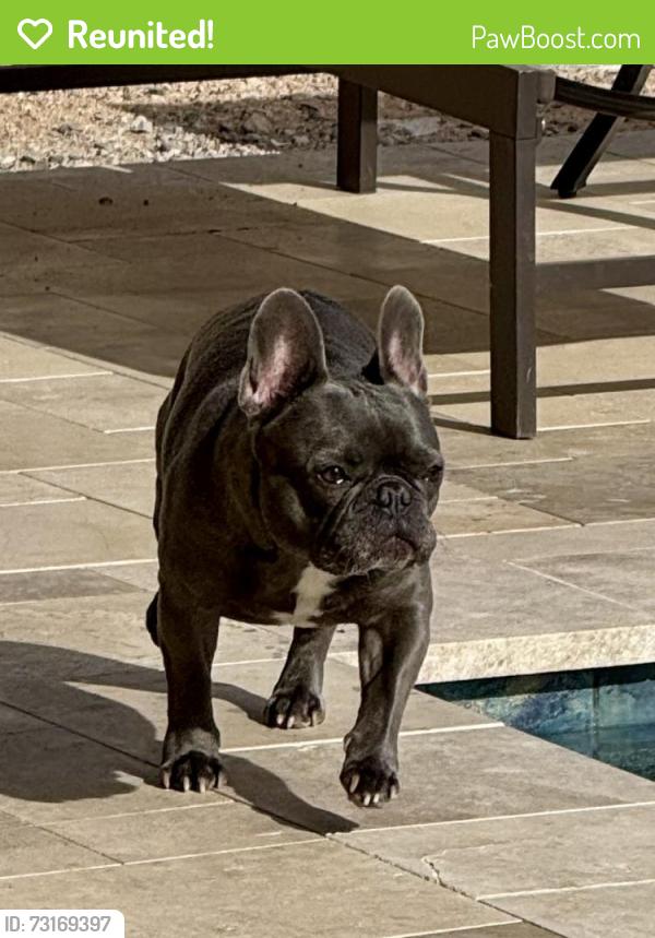 Reunited Male Dog last seen Near Parfet Street, Arvada, CO, Arvada, CO 80004