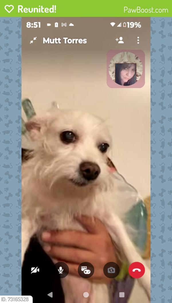 Reunited Female Dog last seen Golden State Hwy/M st, Bakersfield, CA 93301